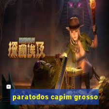 paratodos capim grosso