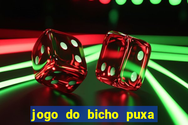 jogo do bicho puxa de dona maria