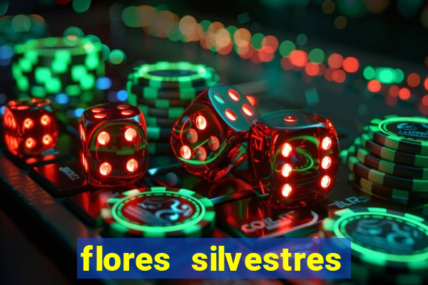 flores silvestres desbravadores desbravadores 25 flores silvestres e seus nomes