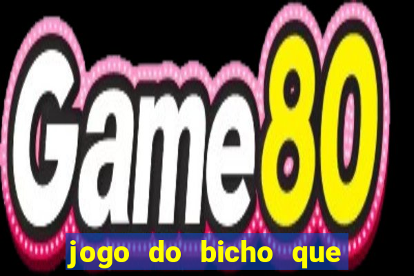 jogo do bicho que paga no pix