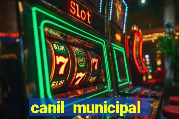 canil municipal porto alegre