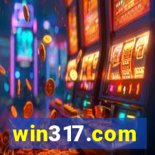 win317.com